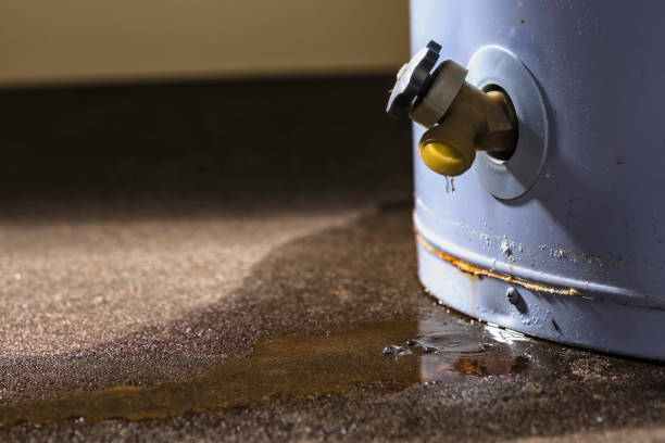 Best Water damage restoration process  in Verdigris, OK