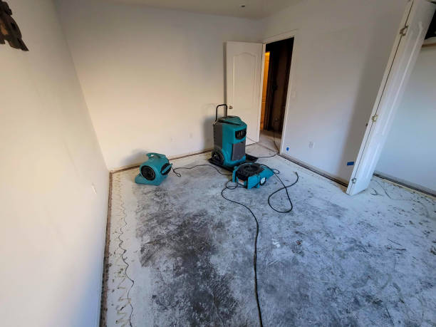 Best Flood restoration services  in Verdigris, OK
