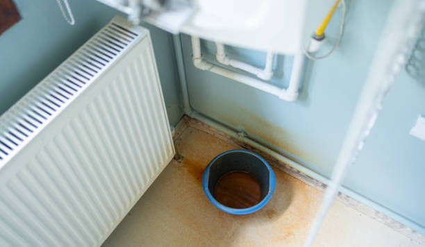 Best Mold removal after water damage  in Verdigris, OK