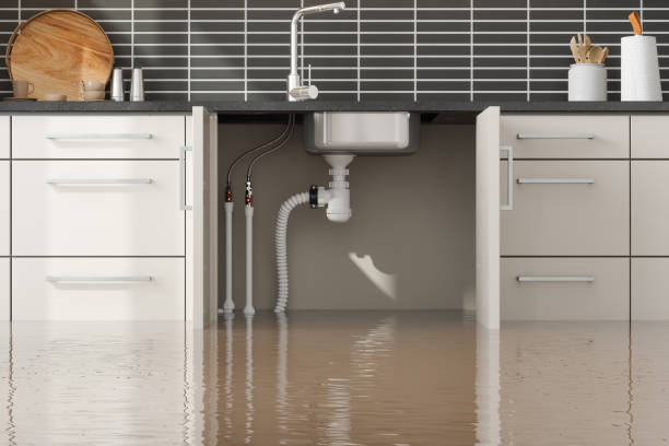 Best Local water damage restoration  in Verdigris, OK