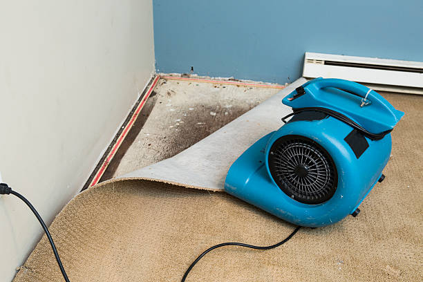 Best Water damage contractors near me  in Verdigris, OK